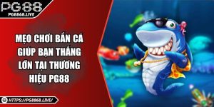 Mẹo Chơi Bắn Cá Giúp Bạn Thắng Lớn Tại Thương Hiệu PG88
