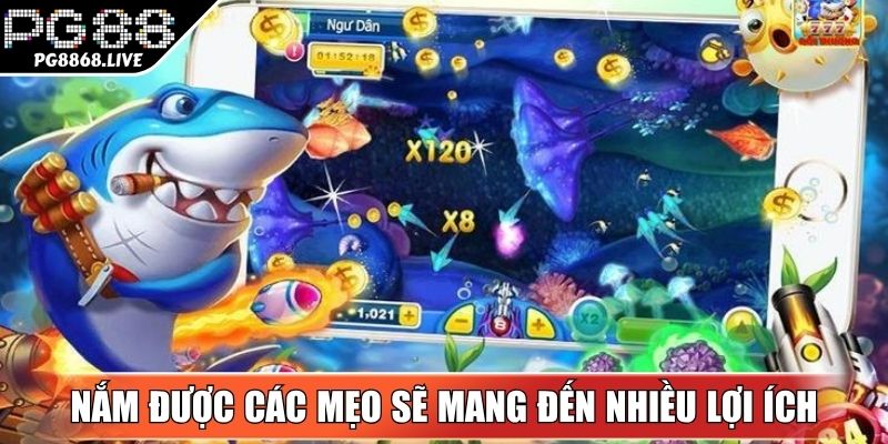 Rất nhiều các mẹo hữu hiệu dành cho người mới