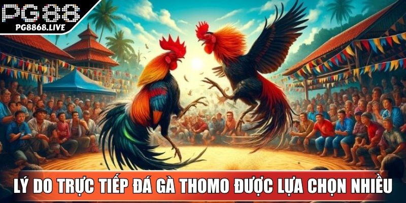 Yếu tố hình thức xem online này được người chơi lựa chọn và yêu thích